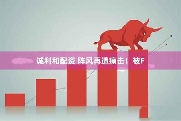 诚利和配资 阵风再遭痛击！被F