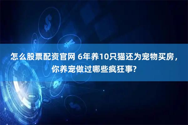 怎么股票配资官网 6年养10只猫还为宠物买房，你养宠做过哪些疯狂事?