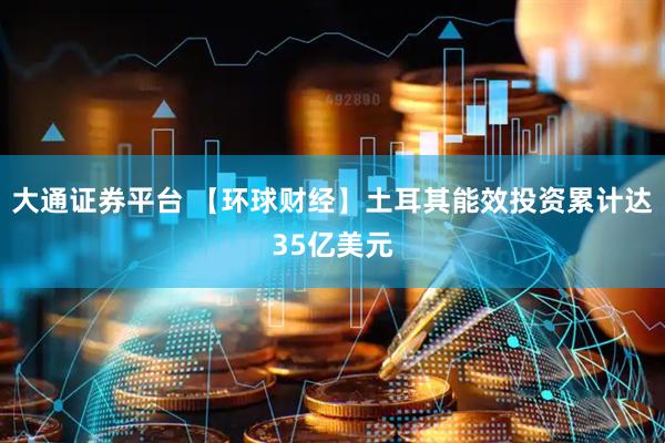 大通证券平台 【环球财经】土耳其能效投资累计达35亿美元