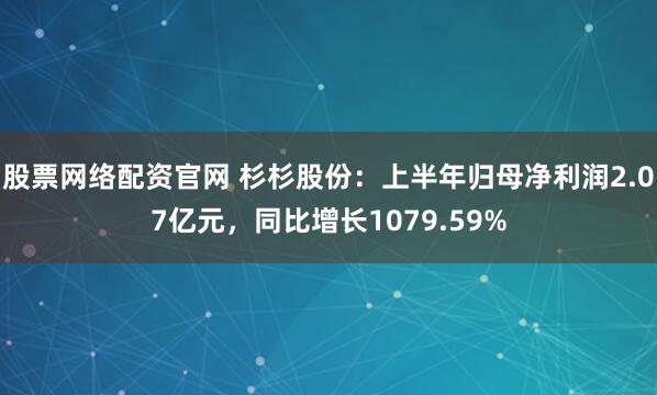 股票网络配资官网 杉杉股份：上半年归母净利润2.07亿元，同比增长1079.59%